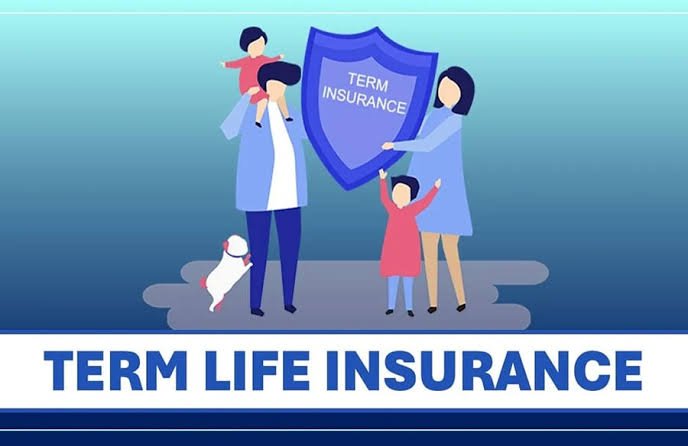 Term Life Insurance